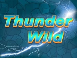 Thunder Wild game thumbnail