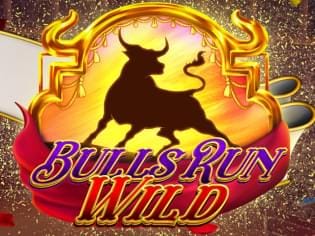 Bulls Run Wild game thumbnail